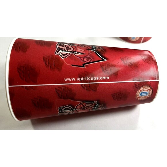 Wisconsin Badgers Holographic Cups 3-D Capital Cups Made In USA Set Of 2 - Picture 7 of 10